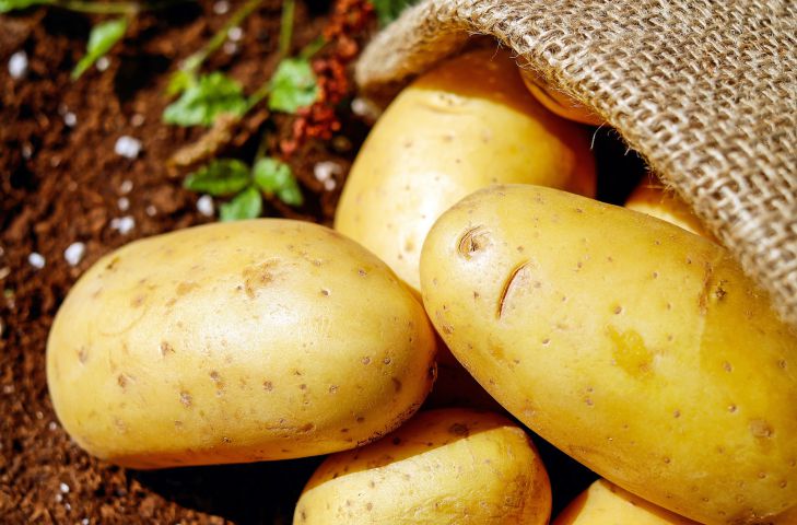 Почему картофель опасен для гипертоников, рассказали медики    
