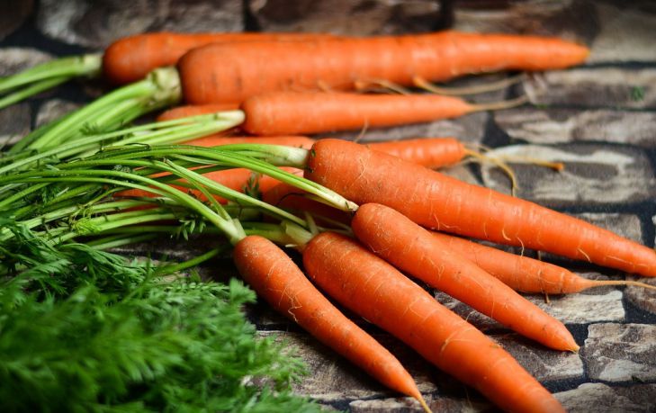 Какой группе людей полезна морковь: выводы исследователей
