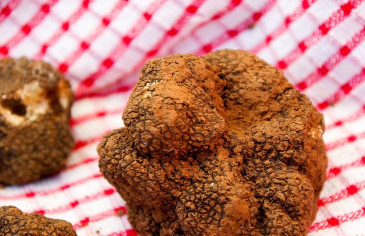 Какие продукты являются самыми дорогими в мире: вы удивитесь, узнав их стоимость