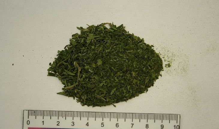 Дома у минчанина, участвовавшего в акциях протеста, нашли марихуану Дома у минчанина, участвовавшего в акциях протеста, нашли марихуану