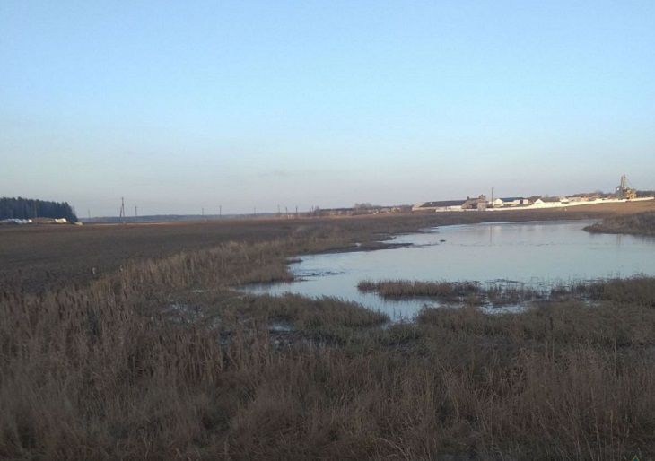 Под Островцом мужчина провалился под лед. В ледяной воде он был 15 минут... Под Островцом мужчина провалился под лед. В ледяной воде он был 15 минут...