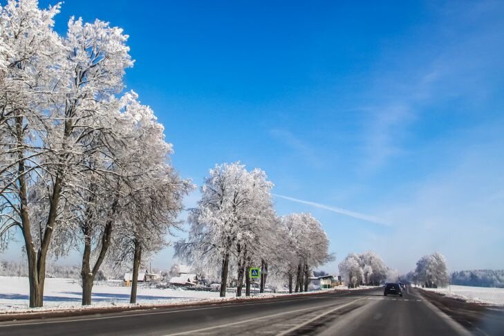Последствия снегопада в Беларуси: отключение электричества и поваленные деревья 