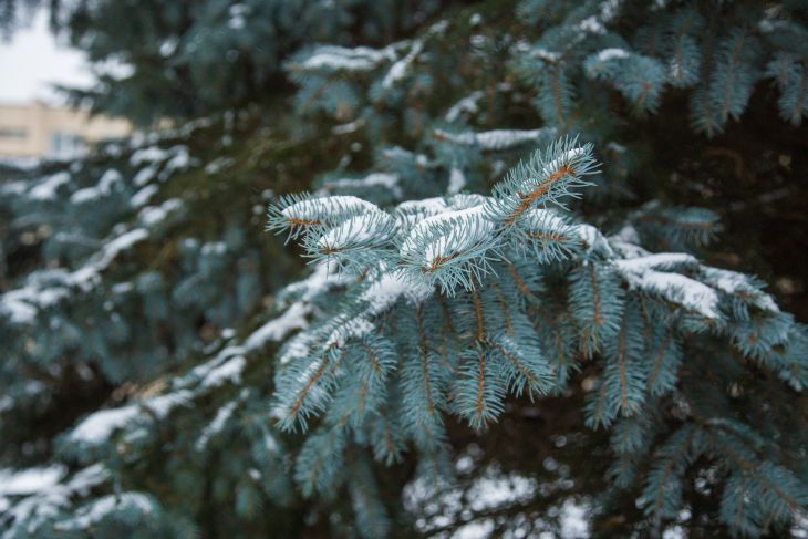 В Беларуси за 15 дней зарегистрировано более 2 тысяч гололедных и холодовых травм