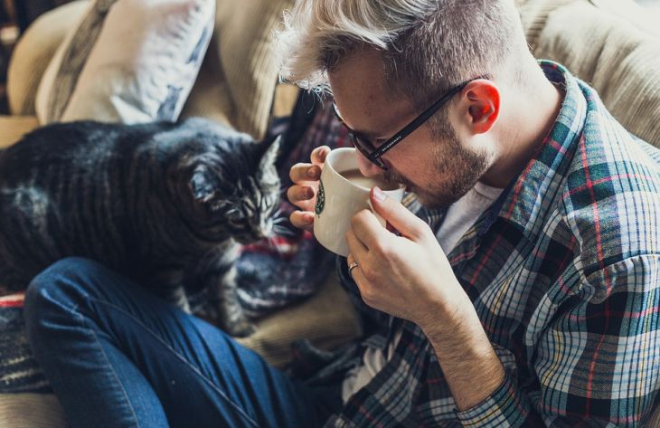 Почему кошка иногда делает вид, что вас не слышит: ученые назвали неожиданную причину