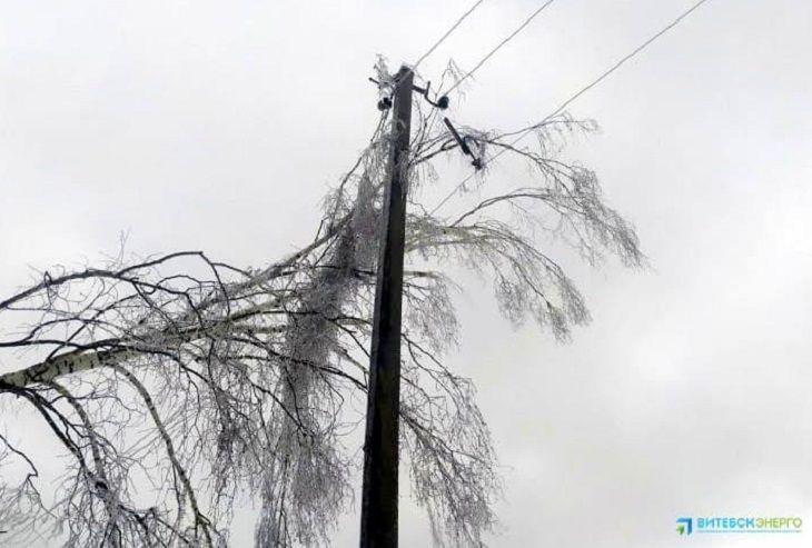 Последствия ледяного дождя на Витебщине: в трех районах сохраняются перебои с электричеством Последствия ледяного дождя на Витебщине: в трех районах сохраняются перебои с электричеством