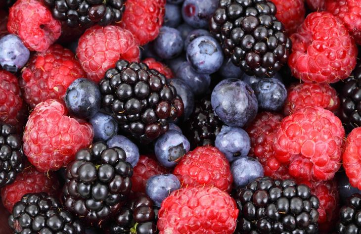 Какие продукты помогут сохранить здоровье пожилым людям: советы врачей Какие продукты помогут сохранить здоровье пожилым людям: советы врачей