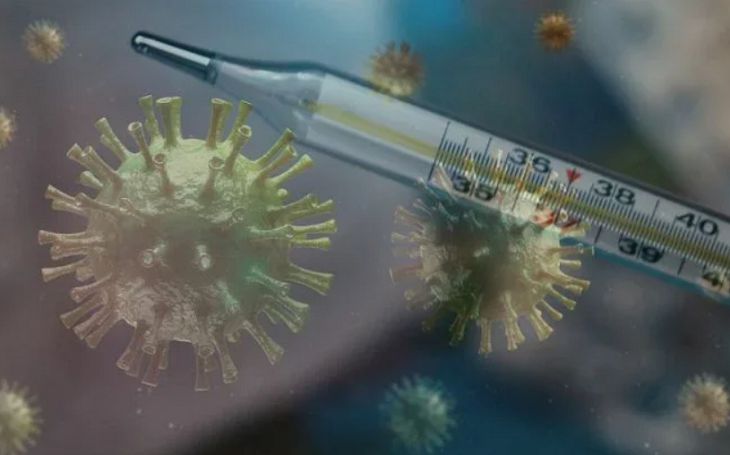 Печальный прогноз от ВОЗ: коллективного иммунитета к COVID-19 в 2021 году не будет Печальный прогноз от ВОЗ: коллективного иммунитета к COVID-19 в 2021 году не будет