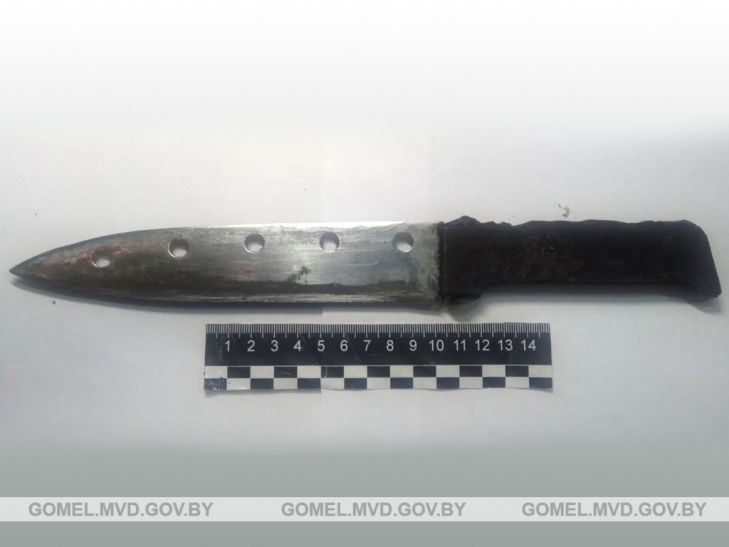 В Жлобинском районе мужчина ударил соседа ножом. Правоохранители задержали нападавшего и оказали помощь раненому