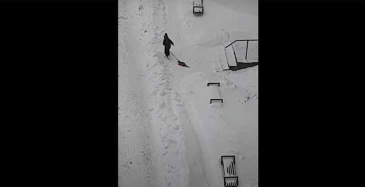 В Новогрудке ребенок так выгулял кота, что приехала милиция