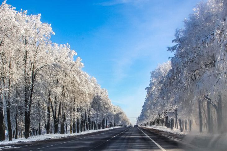 Одевайтесь теплее: морозная погода ждет белорусов в выходные 