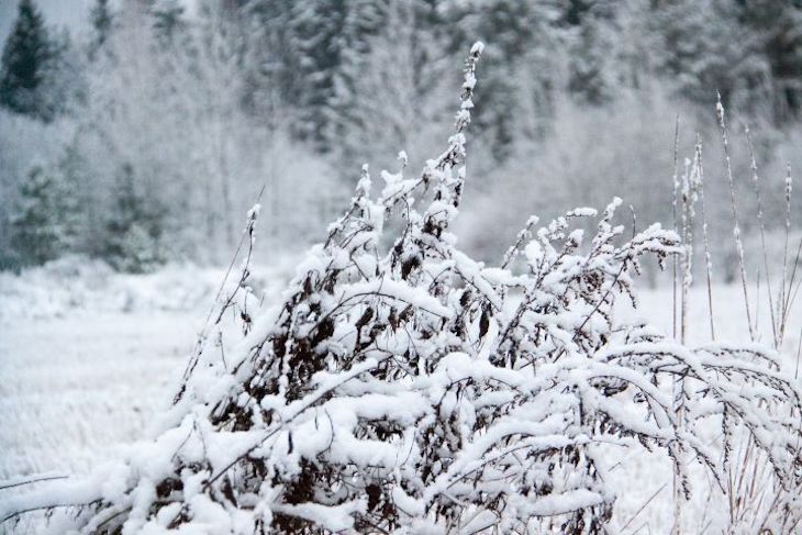 26-градусные морозы ожидаются в Беларуси 18 февраля