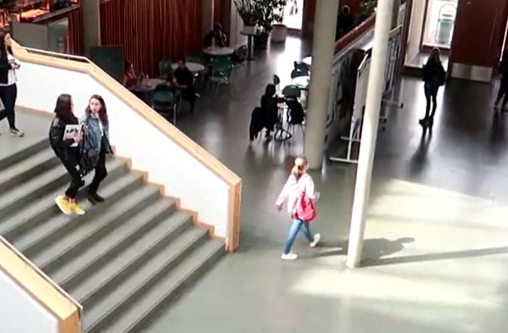 университет