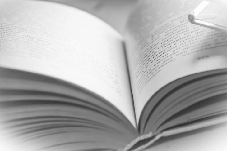 Обнаружено неизвестное стихотворение Владимира Набокова о Супермене книга
