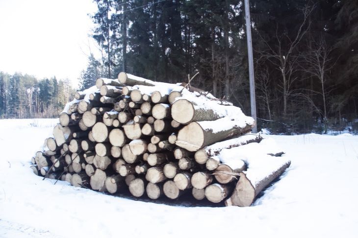 Лес Заготовка