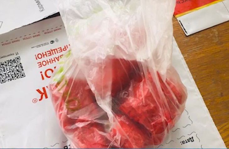 В Бобруйске мама в декрете занималась оптовыми закладками психотропов психотропы