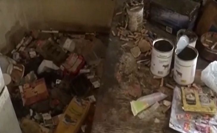 Жила среди кошек и отзывалась на «кис-кис». В Подмосковье нашли ребенка-маугли