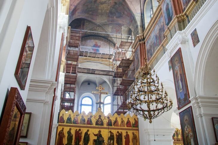 В Минске прихожане костела высадили 100 кустов сирени в память о медиках, погибших от коронавируса