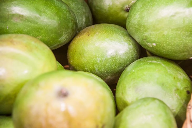 Какие 5 продуктов снижают тревожность: выводы медиков авокадо