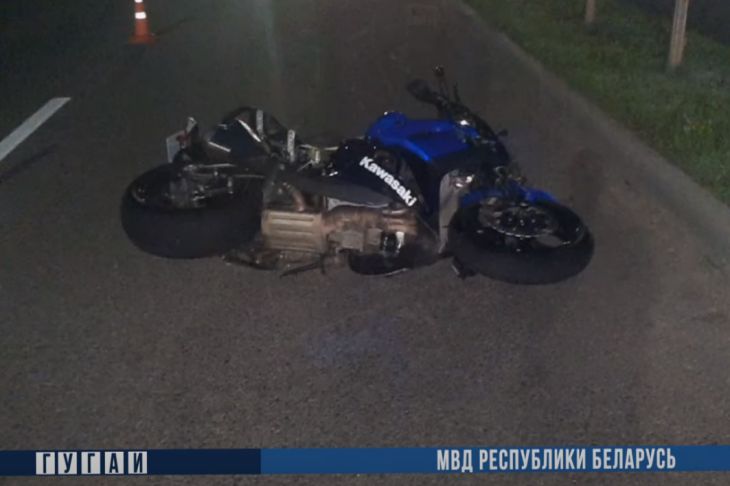 В Могилеве погиб мотоциклист после столкновения с лосем Мотоцикл ДТП