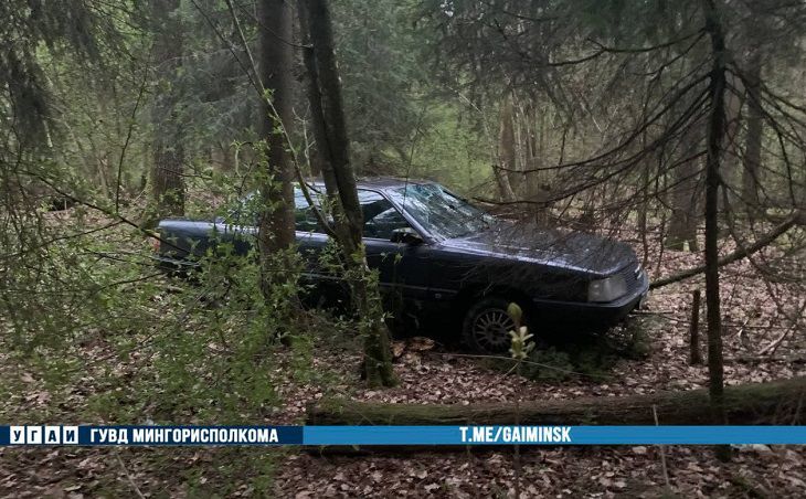Погоня в Минске: пьяный бесправник протаранил автомобиль ГАИ, врезался в дерево и ударился в бега автомобиль