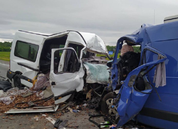 На трассе М10 жесткое лобовое ДТП микроавтобусов: есть погибший ДТП