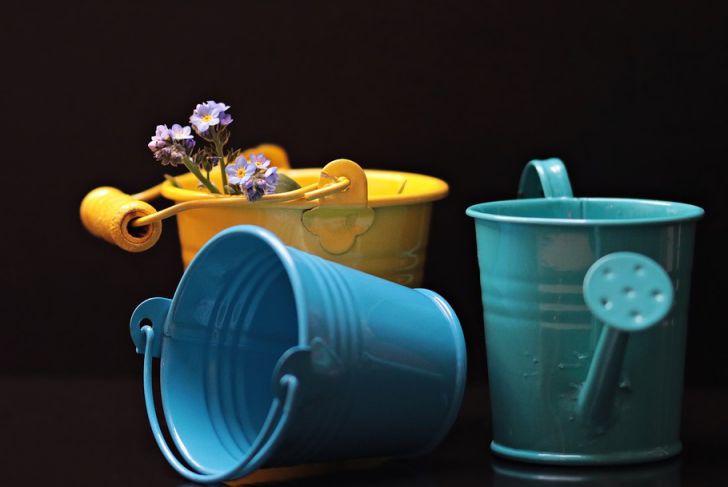 Дефицит воды на огороде: 3 способа справиться с ситуацией лейка