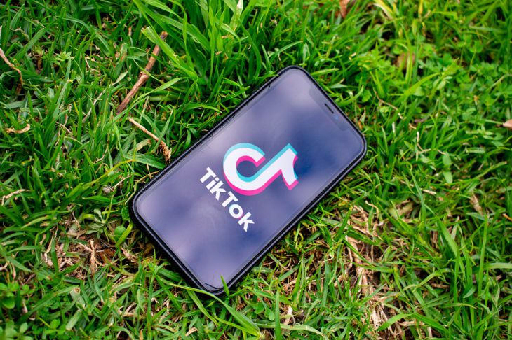 TikTok требует доступ к биометрическим данным пользователей Смартфон TikTok