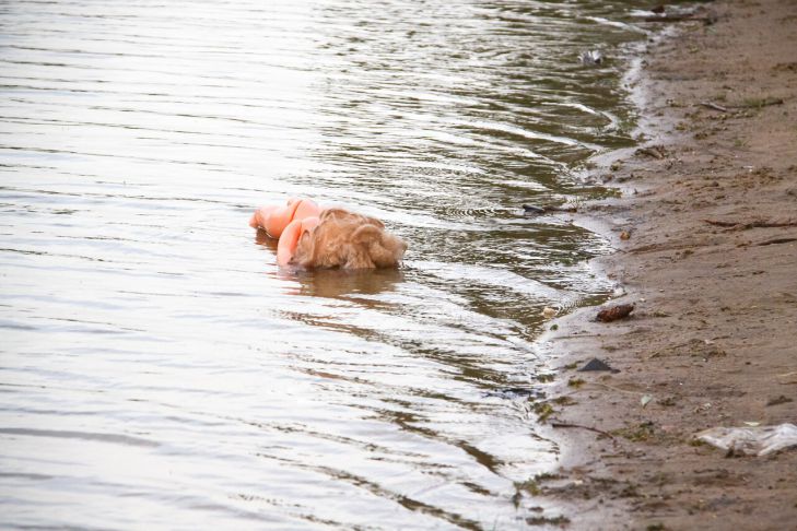 вода