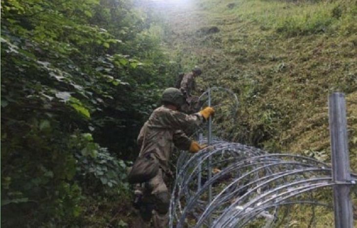 Армия Литвы приступила к охране границы с Беларусью граница