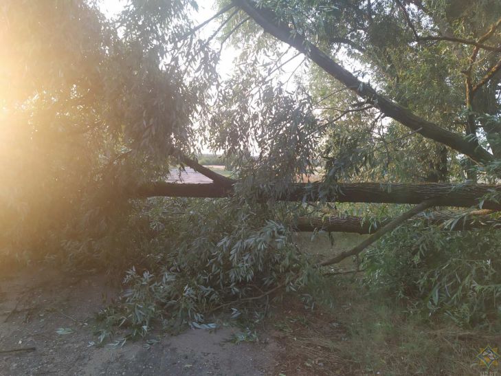 МЧС и синоптики предупредили белорусов о непогоде 27 июля