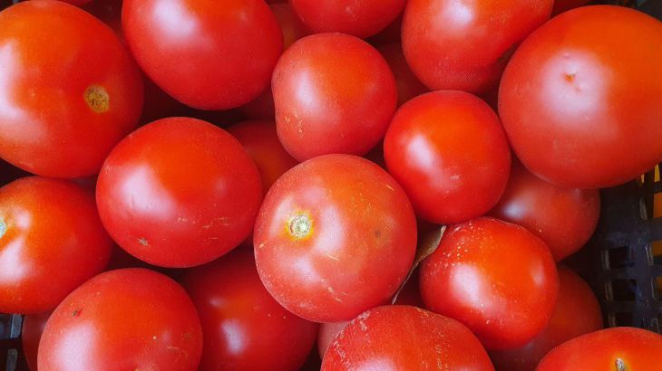 Почему помидоры не краснеют: эксперты назвали главную ошибку