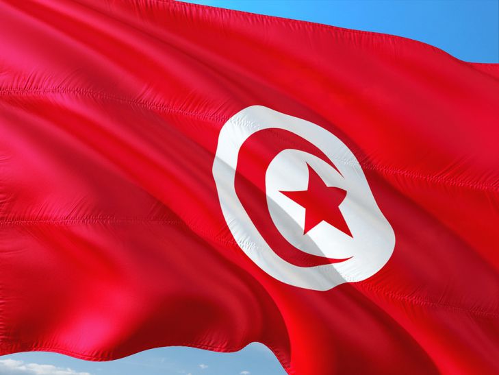 Президент Туниса отправил в отставку премьера и заморозил работу парламента