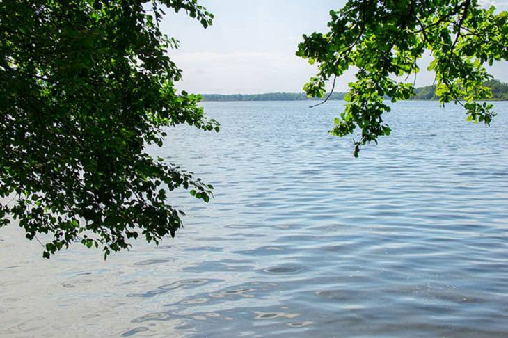В Лунинецком районе утонула молодая женщина водоем