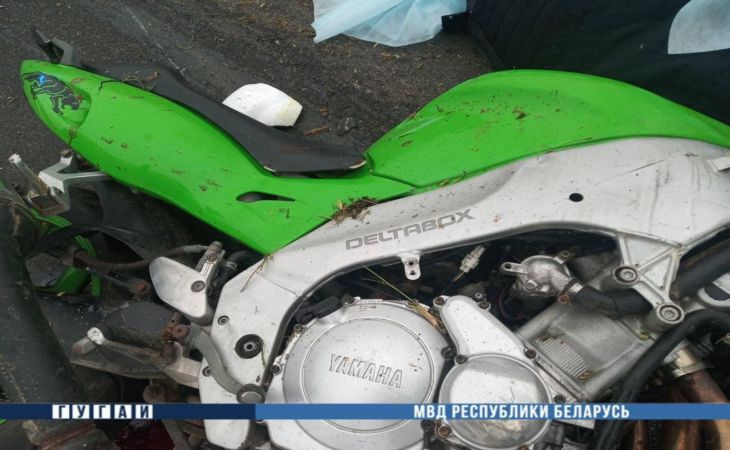 Под Рогачевом мотоцикл влетел в трактор: погибли двое  