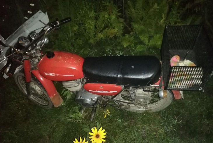 Под Рогачевом байкер влетел в косулю. Теперь он в больнице мотоцикл