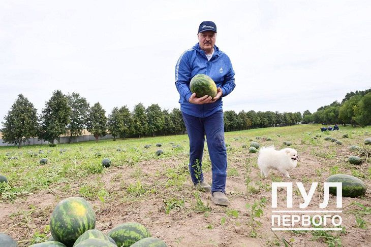 Александр Лукашенко