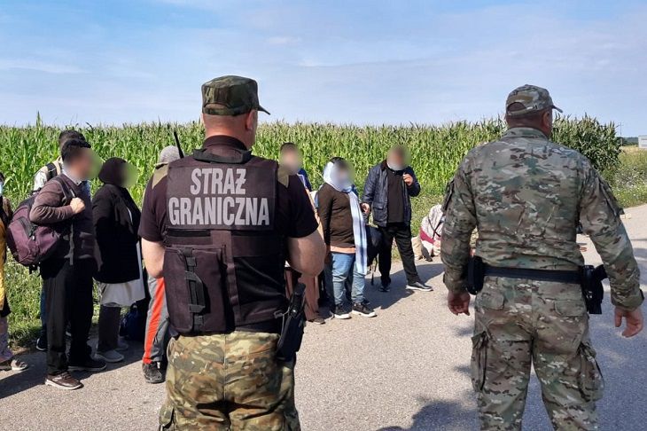Польша решила поставить на границе с Беларусью забор высотой 2,5 метра граница