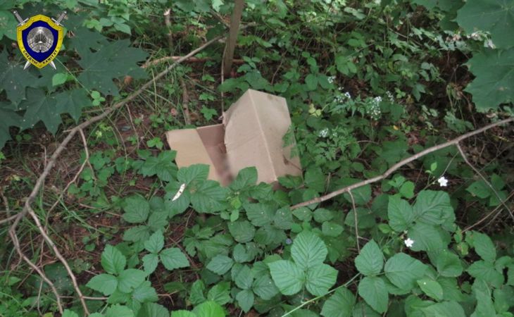 Родила и выбросила в коробке. В Мозыре роженица подозревается в убийстве дочки