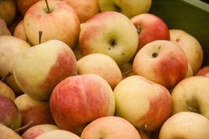 Россельхознадзор отменяет ограничения на поставки яблок из Беларуси с 20 августа