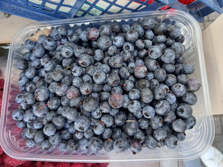 Какие продукты полезны для зрения: специалисты составили список черника