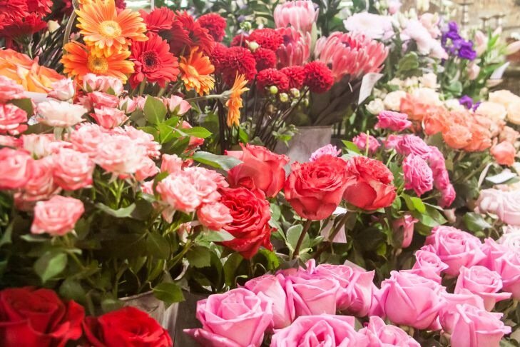 Какие цветы в доме способны изменить жизнь в худшую сторону цветы