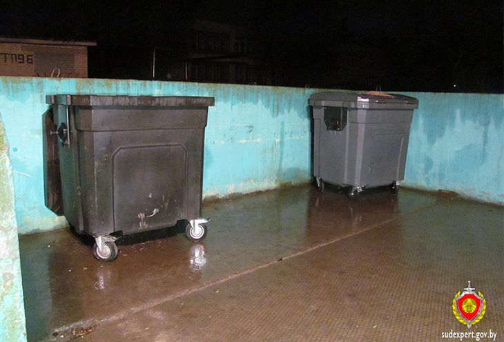 Стали известны подробности резонансного убийства женщины в Барановичах мусорка