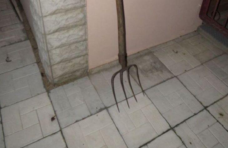 Соседские войны: в Молодечненском районе мужчина напал с вилами на односельчанку вилы