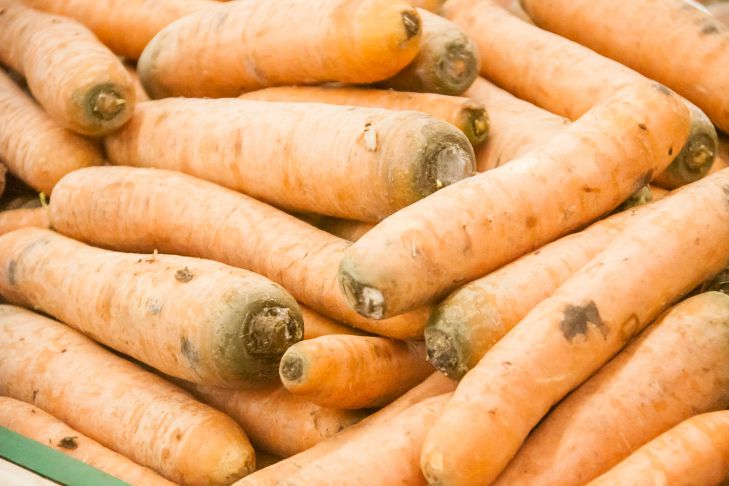 Как хранить морковь в квартире, чтобы не вяла и оставалась сочной: новости,овощи, морковь, урожай, квартира, хранение, сад и огород