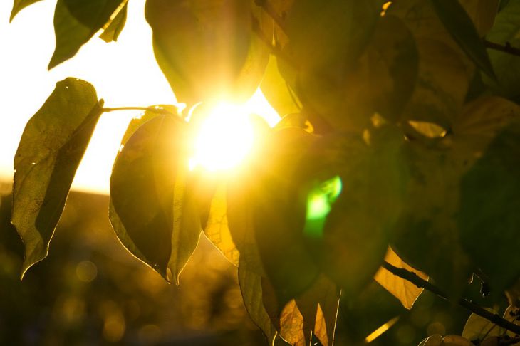 4 знака зодиака во второй половине октября встретят любовь осень