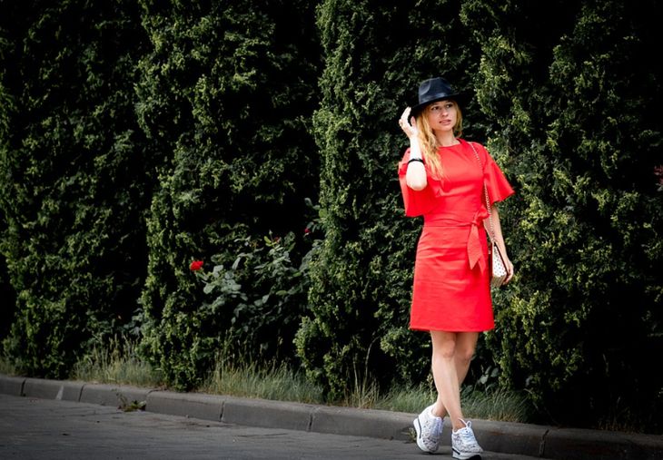 Как привести тую в «божеский вид», если дерево сохнет: секреты опытных садоводов дерево