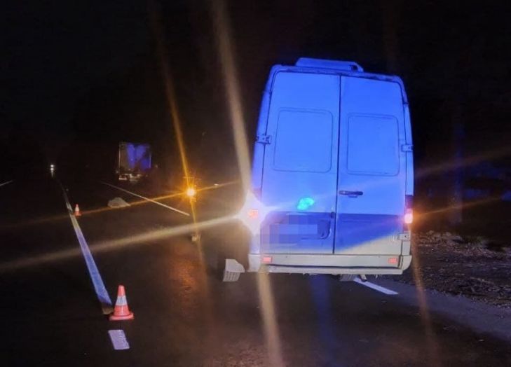 Внезапно вышла на проезжую часть: под Бобруйском погибла женщина ДТП