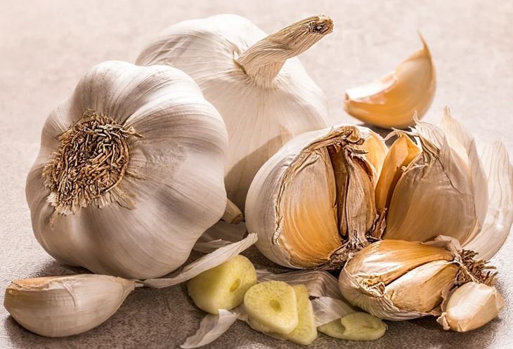 Почему не стоит спешить с обрезкой чеснока до ноября: ошибки, которые допускают почти все огородники чеснок