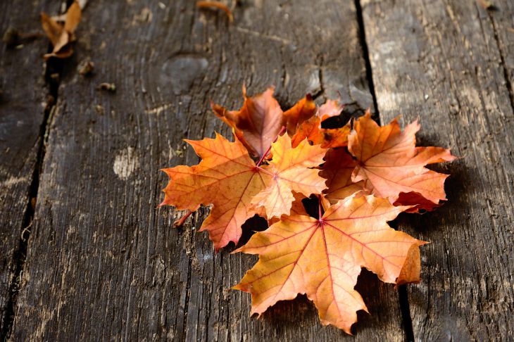 За кем из 3 знаков зодиака удача последует по пятам в конце года осень