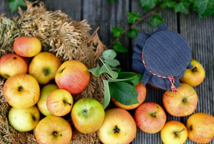 Как варить яблоки крупными дольками в густой карамели: секрет «ленивого» конфитюра на зиму варенье